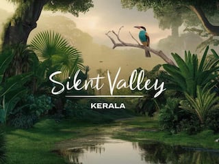 Silent Valley, Kerala: A Complete Guide – Top Activities, Must-See Attractions, Ideal Visiting Seasons, & More