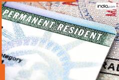 Good news for Indians applying for American citizenship, US visa bulletin for EB-2, EB-3 employment-based green card show...