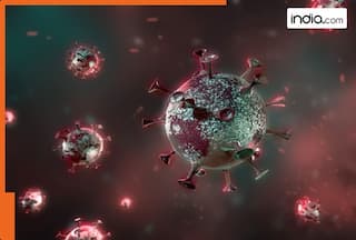 Is China facing a new virus outbreak? All about HMPV, latest respiratory issue spreading in the country