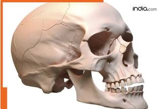 SHOCKING! Skull, bones wrapped in plastic cover found in refrigerator from home in THIS Indian state