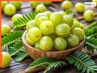 डायबिटीज को काबू करने में देर नहीं लगाता है आंवला, बस पता होना चाहिए खाने का सही तरीका