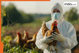 H5N1 virus in human: Is bird flu mutating faster? Symptoms to prevention, all you need to know
