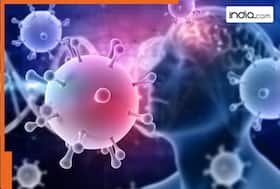 india.com top news