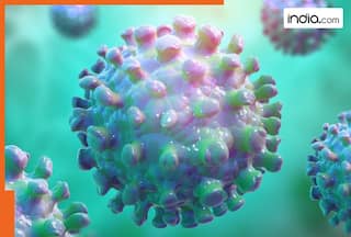 Is HMPV similar to COVID-19 Virus? Things you must know about HMPV which is causing panic in China, India and other nations