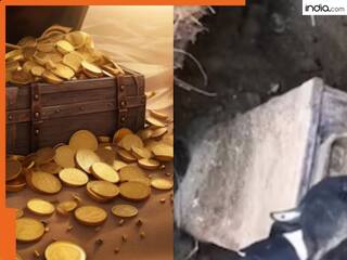 Viral Video: खुदाई में मिला पुराना बक्सा, खोलते ही सब रह गए दंग, अंदर से जो निकला खुद ही देख लीजिए