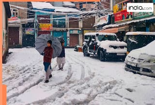 Weather update: Severe winter grips North India on New Year's day as cold wave intensifies, snowfall expected in hill states