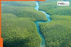 This river flows through 9 countries, yet no one has ever built a bridge over it, here's why