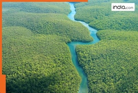 india.com top news