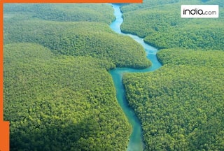 This river flows through 9 countries, yet no one has ever built a bridge over it, here's why