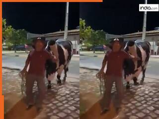 Viral Video Today: शख्स को नशे में डूबा देख टेंशन में आ गया सांड, खुद घर तक छोड़ने गया | देखें वीडियो