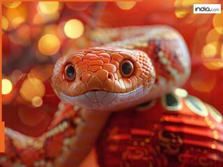 चीनी Zodiac में 2025 होगा सांपों का साल, आपके लिए क्या हैं इसके मायने?