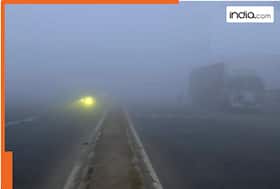india.com top news