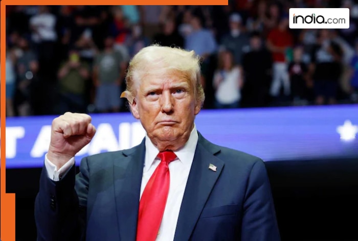 Getting Ready for Trump 2.0: Don   s Aggressive Stance on Global, Domestic & Economic Uncertainty
