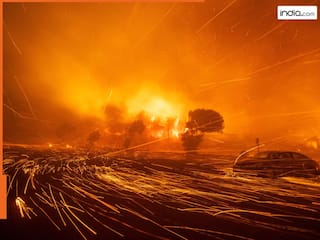 लॉस एंजिल्स में आग से तबाही ही तबाही, अब तक 24 की मौत, कितना हुआ नुकसान?