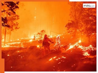अमेरिका के लॉस एंजिल्स के जंगलों में भड़की आग 10 हजार एकड़ में फैली, 5 की मौत