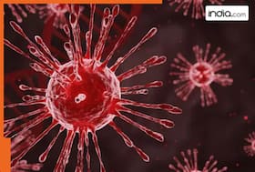 india.com top news