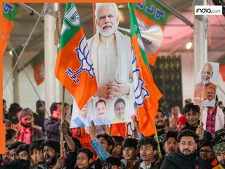 दिल्ली चुनाव के लिए BJP का मेगा प्लान! 300 यूनिट मुफ्त बिजली, लाडली बहना, साफ पानी... ये वादे कर सकती है पार्टी