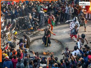 Maha Kumbh Mela: मिलिए महाकुंभ के IIT बाबा से, साधु बनने के लिए छोड़ी थी एयरोस्पेस इंजीनियरिंग