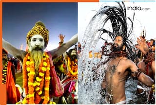 Maha Kumbh 2025: Earnings 10 times more than IPL, crowd twice the population of Pakistan, expense over...