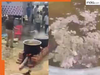 Video: महाकुंभ में भंडारे के भोजन में डाली थी राख, वीडियो वायरल होते ही नप गए पुलिस इंस्पेक्टर