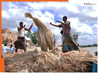 केंद्रीय कैबिनेट ने लिए दो बड़े फैसले: MSP और स्वास्थ्य मिशन पर अहम निर्णय