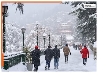 Happy New Year 2025: मनाली में ऐसा रहा नये साल का जश्न, कड़ाके की ठंड और बर्फबारी के बीच सैलानियों ने किया खूब एन्जॉय