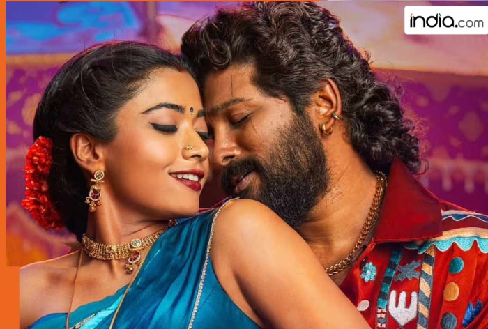 Allu Arjun's Pushpa 2 bears all most profitable Hindi film of last 2 years but fails to defeat 3, they are...