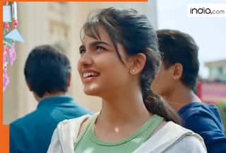 India's most profitable film of 2024 is not Pushpa 2, Stree 2, Kalki 2898 AD, Bhool Bhulaiyaa 3, Fighter, Shaitaan, Munjya, lead actors are...