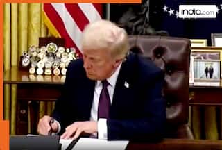 Withdraw from WHO, AI regulations, TikTok ban, ending WFH for...: Major decisions by Trump as US President