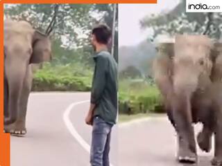 Viral Vieo: मौज-मस्ती के लिए हाथी को छेड़ रहा था शख्स, गजराज ने गुस्से में दौड़ा लिया, आगे जो हुआ...