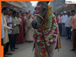 Video: बारात में आई घोड़ी ने ले ली बच्ची की जान, सीसीटीवी में कैद हुई घटना