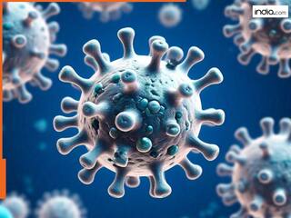 HMPV Virus Live: 'ये कोई नया वायरस नहीं, हम हालात पर नजर बनाए हुए हैं...', HMPV पर बोले स्वास्थ्य मंत्री जेपी नड्डा