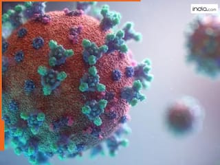 चीन के खतरनाक HMPV वायरस ने भारत में दी दस्तक, कर्नाटक में मिले 2 केस