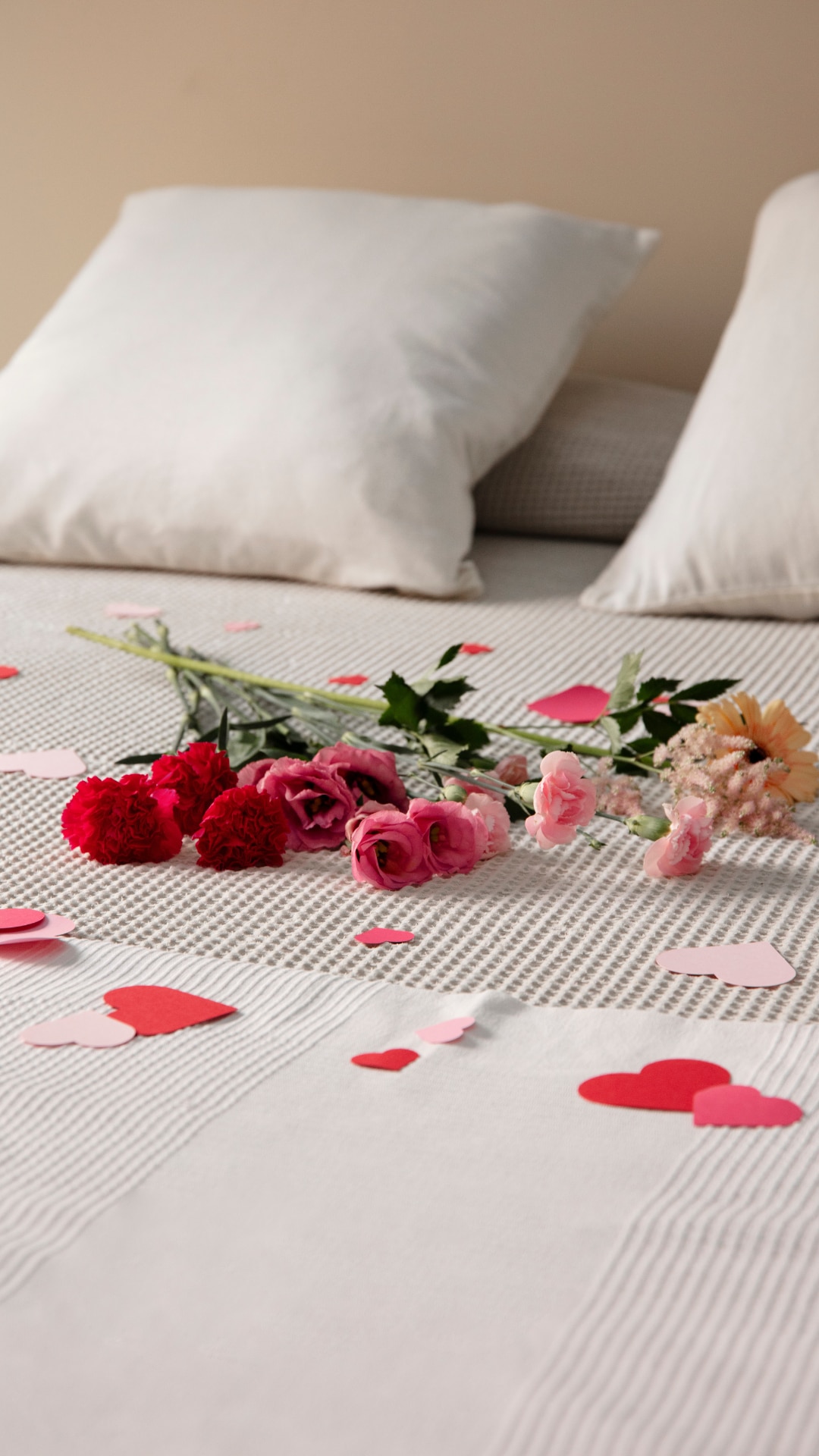 Love is in the Air: Shop Vibrant Bedcovers for a Cozy Valentine’s Day!