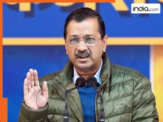 'अभी तक कोई शिकायत नहीं...', AAP कार्यकर्ताओं के उत्पीड़न आरोपों का EC ने क‍िया खंडन