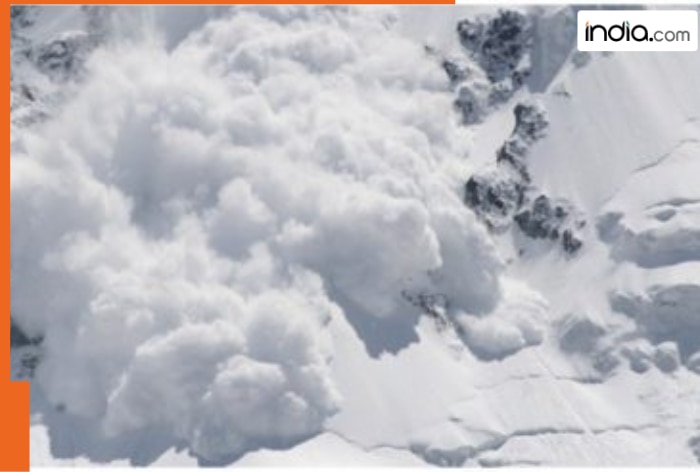 Uttarakhand: 41 BRO workers still trapped in avalanche, 16 rescued as rescue operations continue