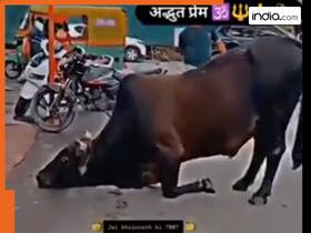 india.com top news