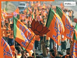 छत्तीसगढ़ नगर निकाय चुनाव में BJP ने मारी बाजी, कांग्रेस को 0 तो AAP का खुला खाता