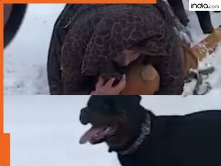 Dog Attack Video: कुत्ते के हमले से बच्चे को बचाने के लिए मां ने लगाई जान की बाजी, खून से लथपथ होकर लड़ती रही