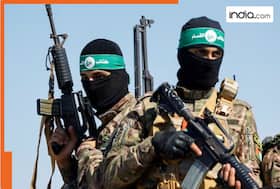 india.com top news
