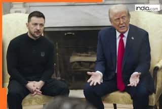 'Don't just need...': Ukraine's Zelenskyy makes BIG declaration in high-stakes meeting with Trump, says Putin has...