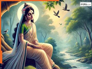 Ramayan Katha: वनवास के समय माता सीता ने 14 वर्ष तक पहनी थी एक ही साड़ी, क्यों नहीं हुई थी गंदी?