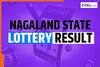 Nagaland State Lottery Results 1PM, 6PM and 8PM FOR 19.03.2025 LIVE: Check DEAR GODAVARI Morning Lucky Draw Result 1 Crore First Prize Complete Winners List Here