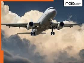india.com top news