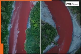 Canal water turns red like blood, frightened locals say   , local media reports blood...