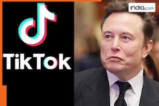 Trump says Elon Musk might buy TikTok, Tesla CEO responds by saying   , after buying Twitter