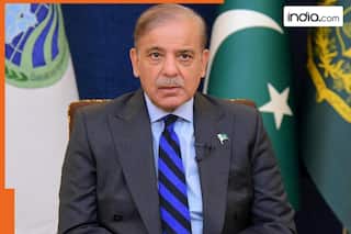 India, US and Israel planning to bomb Pakistan's nuclear programme? Senior Pak diplomat makes shocking claim, says....