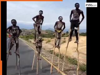 सांपों का ऐसा आतंक शायद ही देखा हो आपने! लोगों को हैरान कर देना वाला वीडियो हुआ Viral