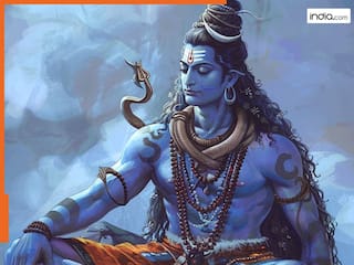 Maha Shivratri Vrat Katha: महाशिवरात्रि पर भोलेनाथ का पूजन करते समय जरूर पढ़ें शिव पुराण की ये व्रत कथा