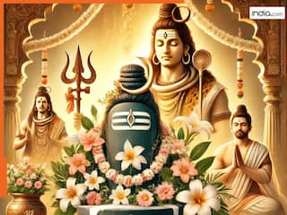 Maha Shivratri 2025: क्या आप जानते हैं शिवलिंग कितने प्रकार के होते हैं और घर में कौन-सा रखना चाहिए?